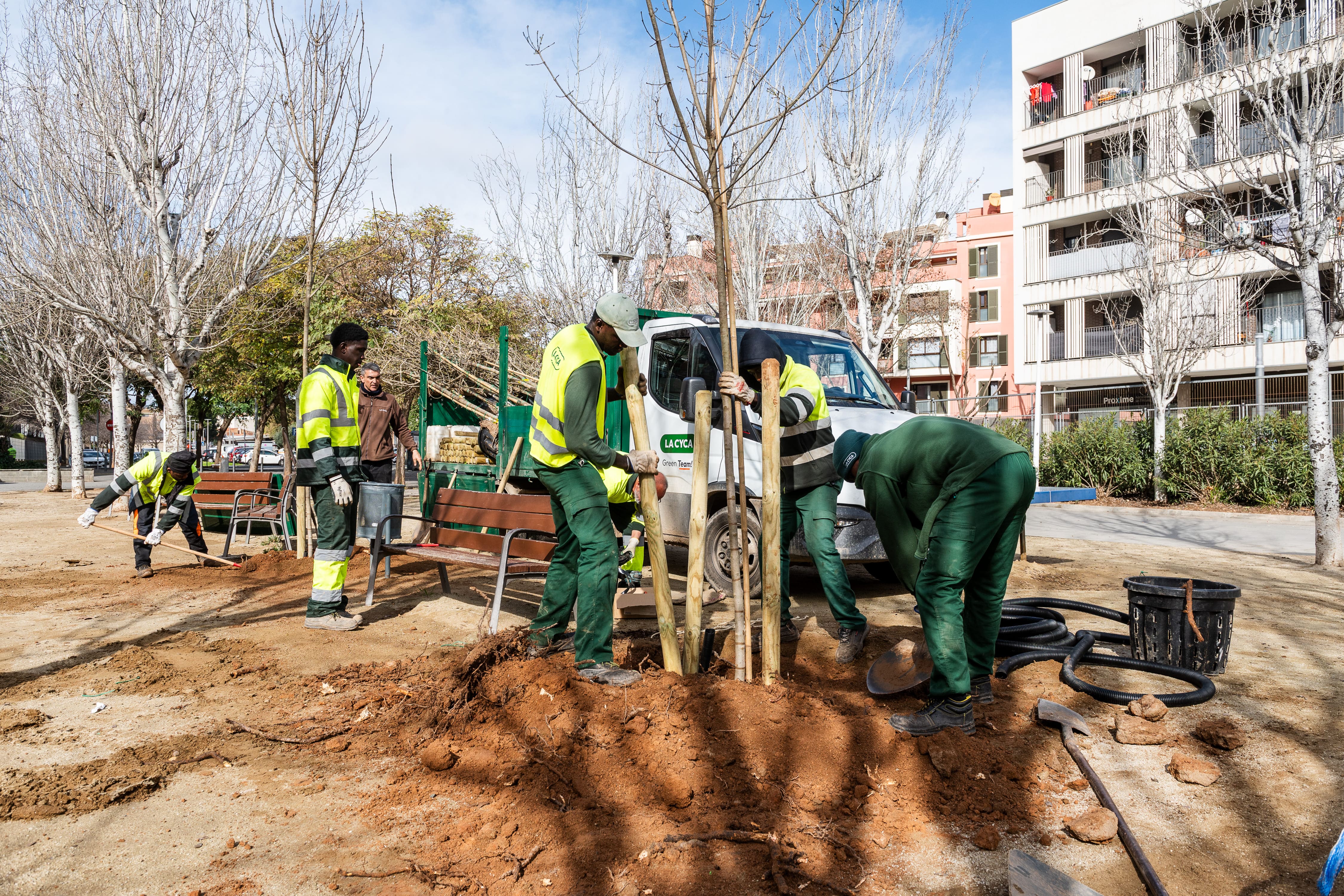 Imatge de la notícia: L’Ajuntament plantarà 200 arbres nous per recuperar el verd a la ciutat